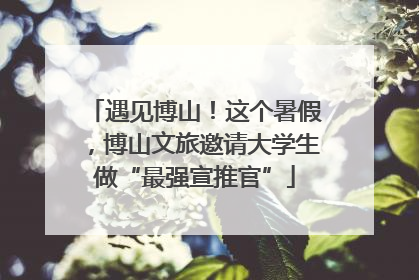 遇见博山！这个暑假，博山文旅邀请大学生做“最强宣推官”