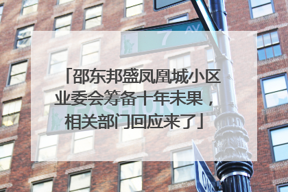 邵东邦盛凤凰城小区业委会筹备十年未果，相关部门回应来了