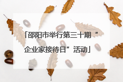 邵阳市举行第三十期“企业家接待日”活动