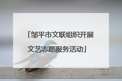 邹平市文联组织开展文艺志愿服务活动
