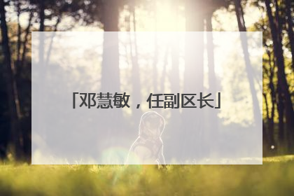 邓慧敏，任副区长