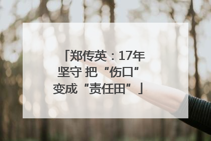 郑传英：17年坚守 把“伤口”变成“责任田”