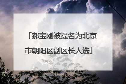 郝宝刚被提名为北京市朝阳区副区长人选