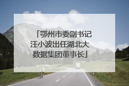 鄂州市委副书记汪小波出任湖北大数据集团董事长