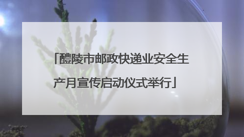 醴陵市邮政快递业安全生产月宣传启动仪式举行