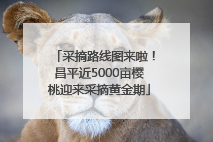 采摘路线图来啦！昌平近5000亩樱桃迎来采摘黄金期