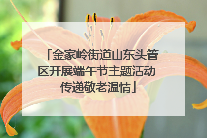 金家岭街道山东头管区开展端午节主题活动 传递敬老温情