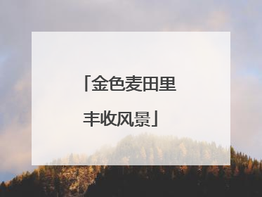 金色麦田里丰收风景