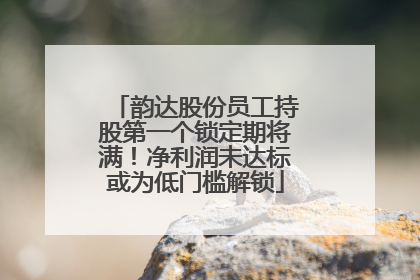 韵达股份员工持股第一个锁定期将满！净利润未达标或为低门槛解锁