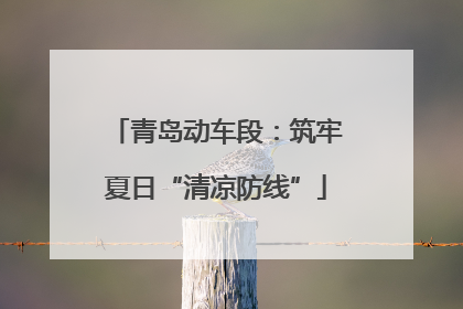 青岛动车段：筑牢夏日“清凉防线”