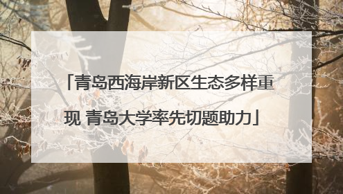 青岛西海岸新区生态多样重现 青岛大学率先切题助力