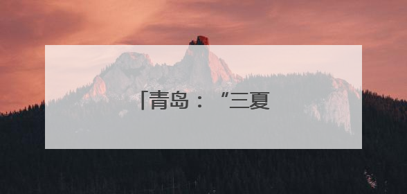 青岛：“三夏”护农话安全
