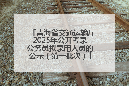 青海省交通运输厅2025年公开考录公务员拟录用人员的公示（第一批次）
