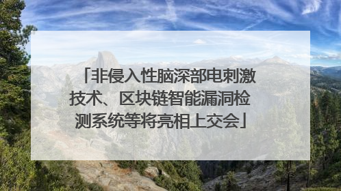 非侵入性脑深部电刺激技术、区块链智能漏洞检测系统等将亮相上交会