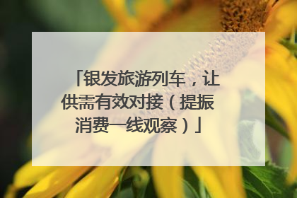 银发旅游列车，让供需有效对接（提振消费一线观察）