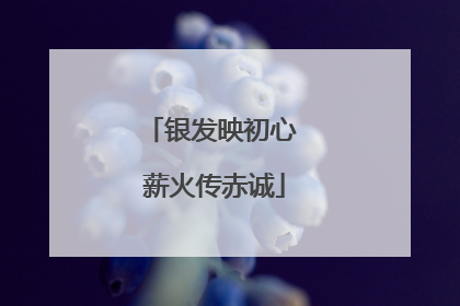 银发映初心 薪火传赤诚