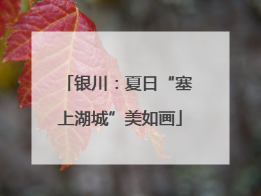 银川：夏日“塞上湖城”美如画