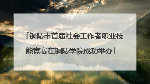铜陵市首届社会工作者职业技能竞赛在铜陵学院成功举办