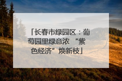 长春市绿园区：葡萄园里绿意浓 “紫色经济”焕新枝