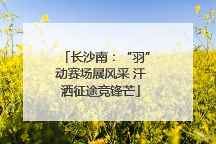 长沙南：“羽”动赛场展风采 汗洒征途竞锋芒