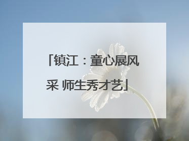 镇江：童心展风采 师生秀才艺