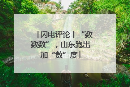 闪电评论丨“数数数”，山东跑出加“数”度
