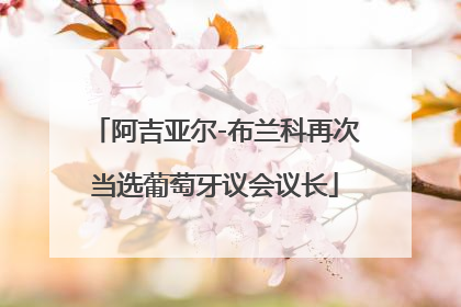 阿吉亚尔-布兰科再次当选葡萄牙议会议长