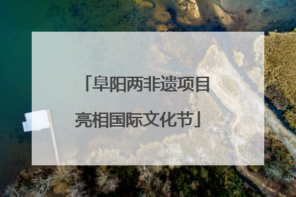 阜阳两非遗项目亮相国际文化节