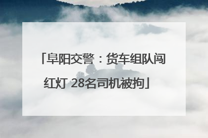 阜阳交警：货车组队闯红灯 28名司机被拘