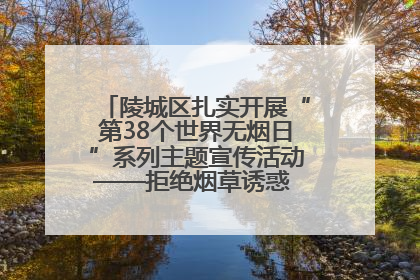 陵城区扎实开展“第38个世界无烟日”系列主题宣传活动——拒绝烟草诱惑 对第一支烟说不