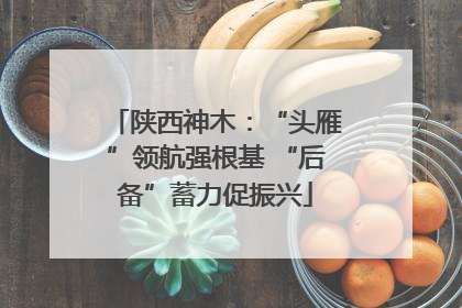 陕西神木：“头雁”领航强根基 “后备”蓄力促振兴