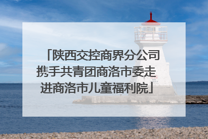 陕西交控商界分公司携手共青团商洛市委走进商洛市儿童福利院