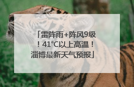 雷阵雨+阵风9级！41℃以上高温！淄博最新天气预报