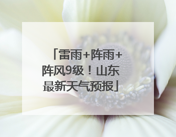 雷雨+阵雨+阵风9级！山东最新天气预报