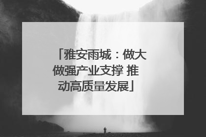 雅安雨城：做大做强产业支撑 推动高质量发展