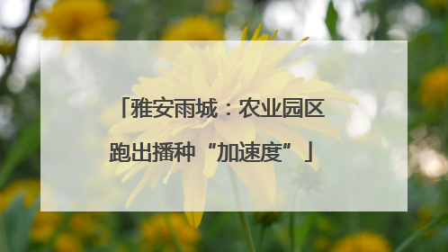 雅安雨城：农业园区跑出播种“加速度”