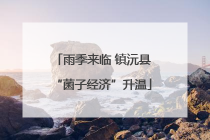 雨季来临 镇沅县“菌子经济”升温