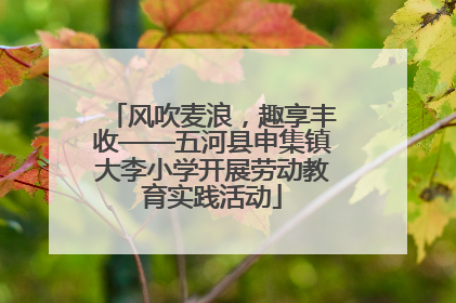 风吹麦浪，趣享丰收——五河县申集镇大李小学开展劳动教育实践活动