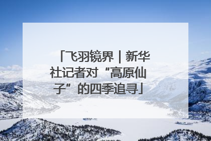 飞羽镜界｜新华社记者对“高原仙子”的四季追寻