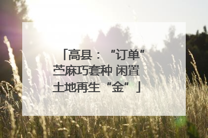高县：“订单”苎麻巧套种 闲置土地再生“金”