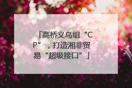高桥义乌组“CP”，打造湘非贸易“超级接口”