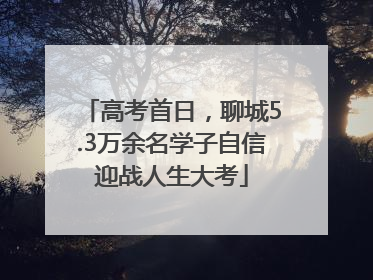 高考首日，聊城5.3万余名学子自信迎战人生大考