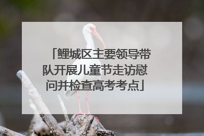 鲤城区主要领导带队开展儿童节走访慰问并检查高考考点