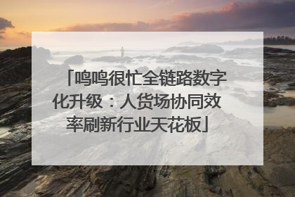 鸣鸣很忙全链路数字化升级：人货场协同效率刷新行业天花板
