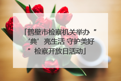 鹤壁市检察机关举办“‘典’亮生活 守护美好”检察开放日活动