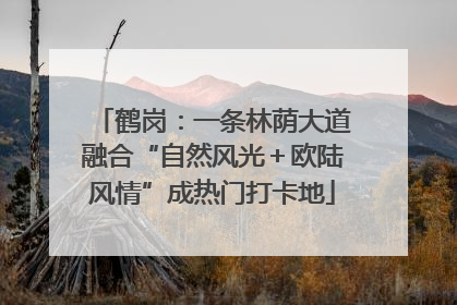 鹤岗：一条林荫大道融合“自然风光＋欧陆风情”成热门打卡地