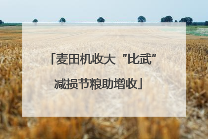 麦田机收大“比武” 减损节粮助增收