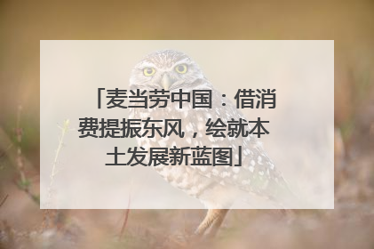 麦当劳中国：借消费提振东风，绘就本土发展新蓝图