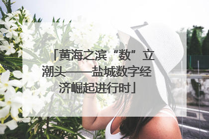 黄海之滨“数”立潮头——盐城数字经济崛起进行时