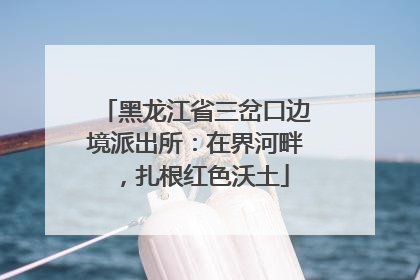 黑龙江省三岔口边境派出所：在界河畔，扎根红色沃土